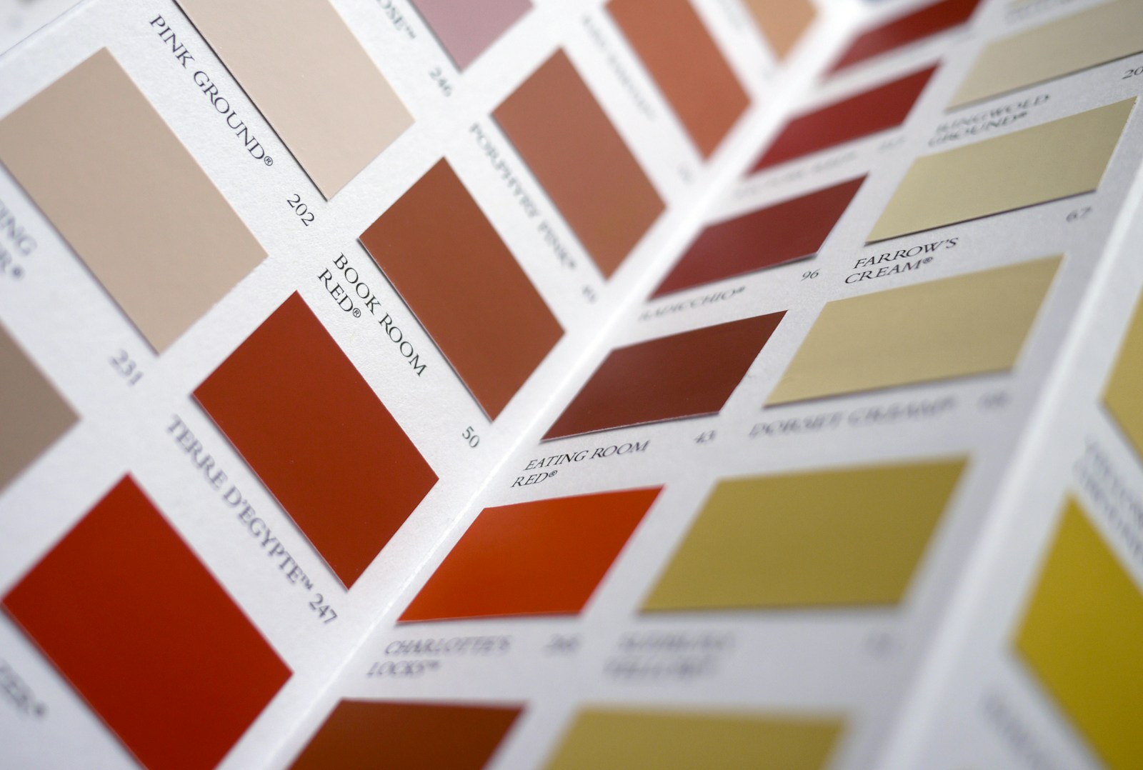 Paint Samples - Colors